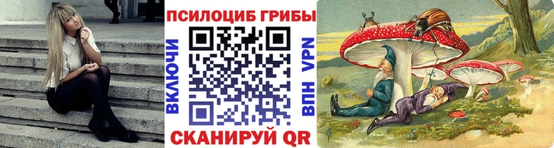 Купить Оленегорск Галлюциногенные грибы прущие грибы